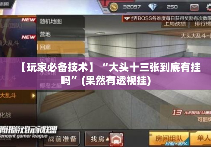 【玩家必备技术】“大头十三张到底有挂吗”(果然有透视挂)